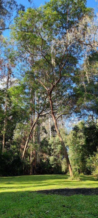 Bird Songs Getaway Accommodation Cabbage Tree Creek Luaran gambar